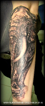 Elephant tattoo by SL BODY ART